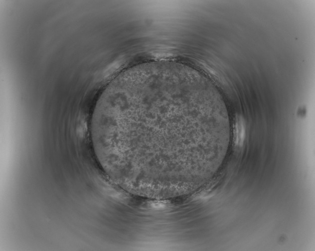 X0000091650618200709061000