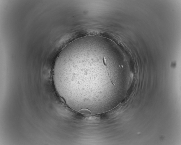 X0000091650619200709061000