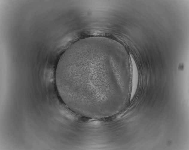 X0000091650620200709061000