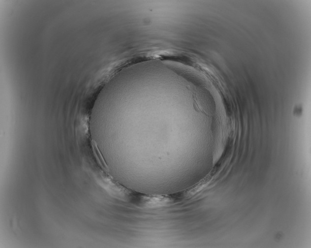 X0000091650621200709061000