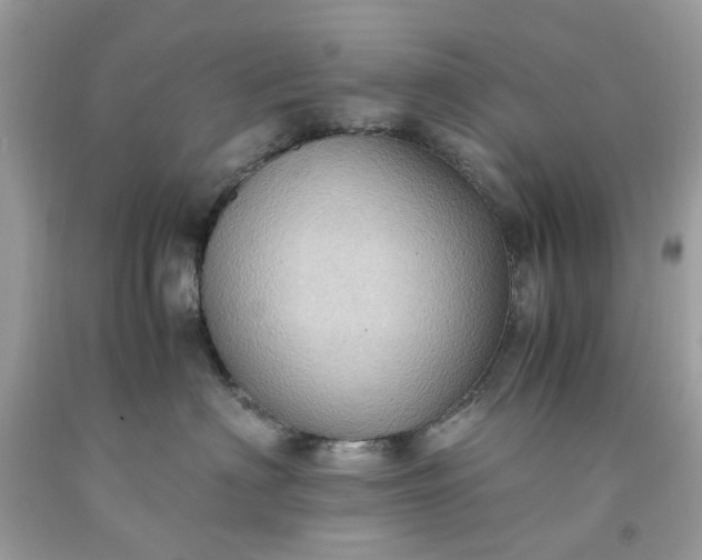 X0000091650622200709061000