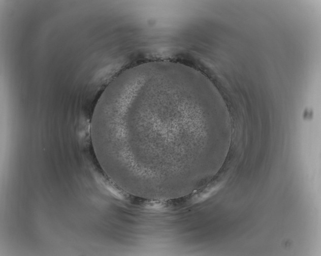 X0000091650624200709061000