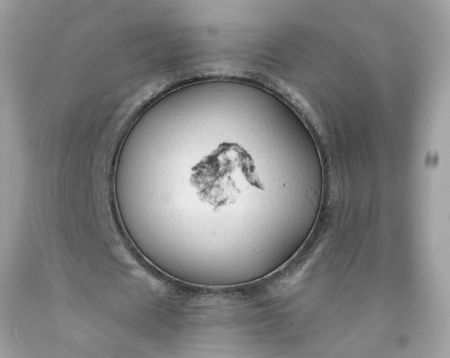 X0000091650625200709060959