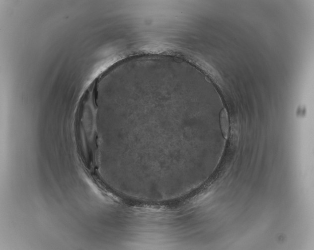 X0000091650626200709060959