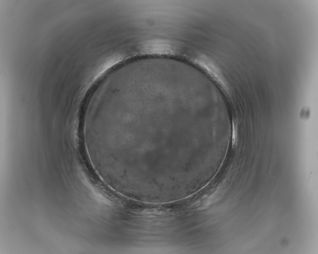 X0000091650627200709060959