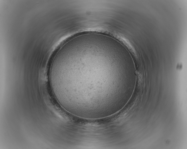 X0000091650628200709060959