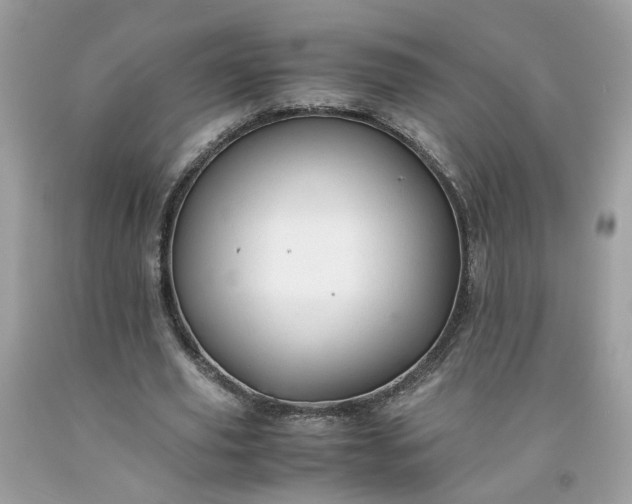 X0000091650629200709060959