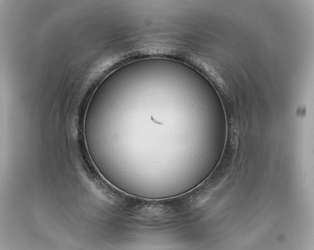 X0000091650631200709060959