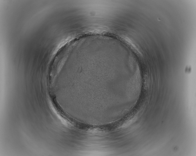 X0000091650634200709060959