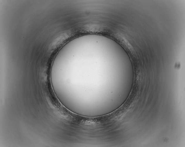 X0000091650635200709060959