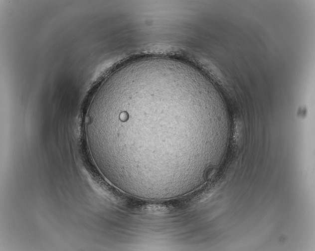 X0000091650636200709060959