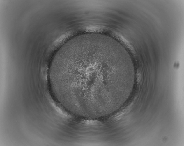 X0000091650637200709060959