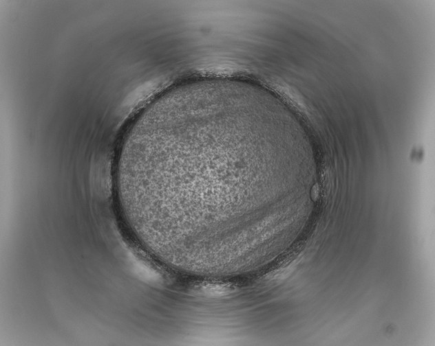 X0000091650638200709060959