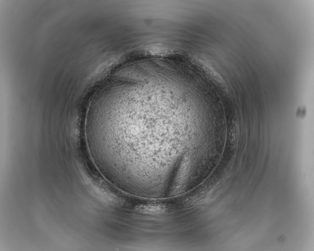 X0000091650639200709060959