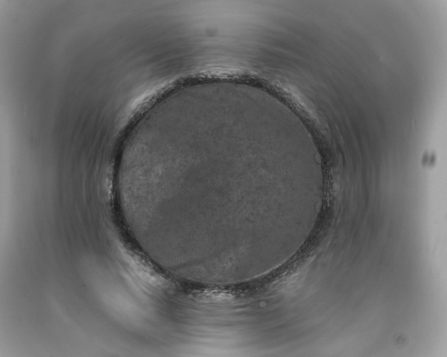 X0000091650640200709060959