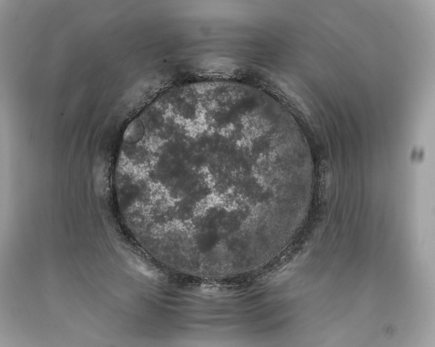 X0000091650641200709060959