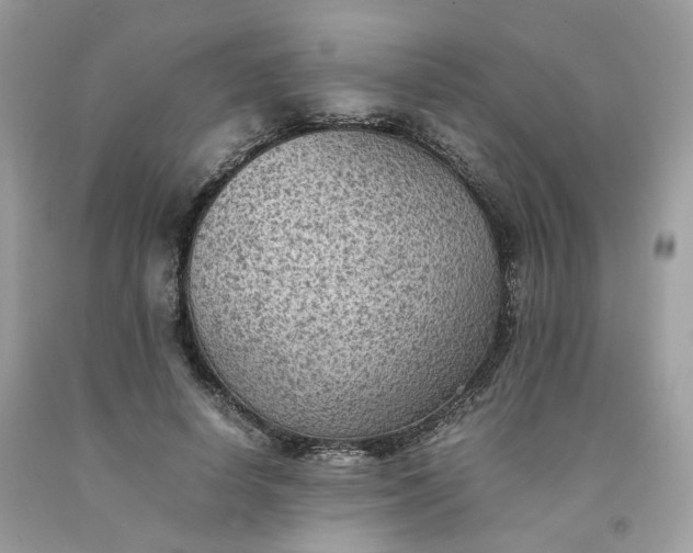 X0000091650642200709060959