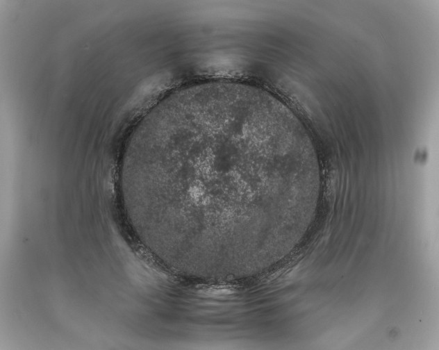 X0000091650643200709060959