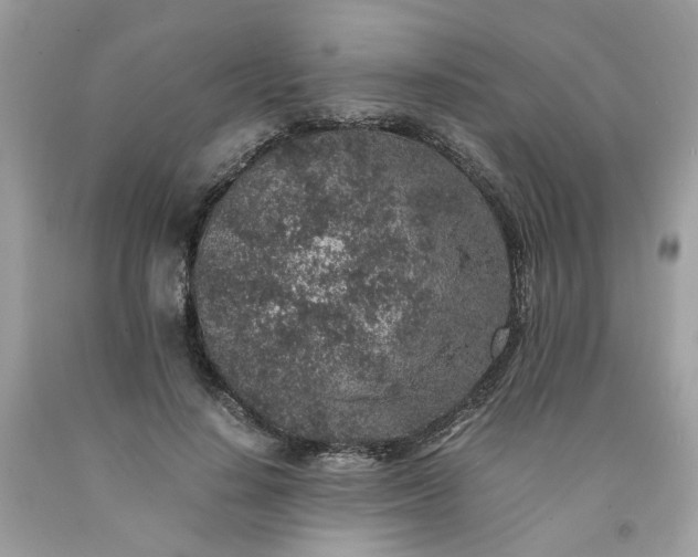 X0000091650644200709060959