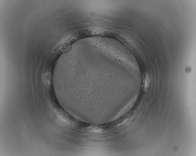 X0000091650648200709061000