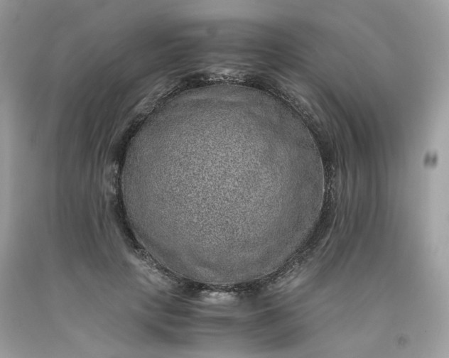 X0000091650649200709061000