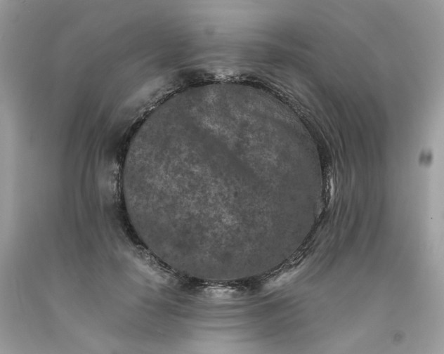 X0000091650650200709061000