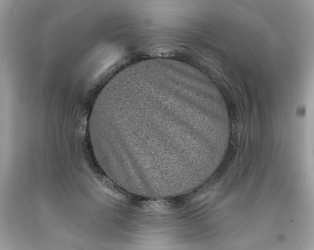 X0000091650652200709061000