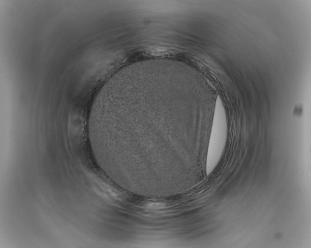 X0000091650653200709061000