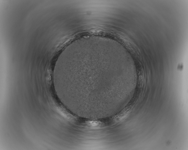 X0000091650654200709061000