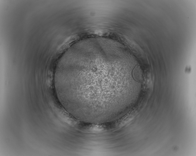 X0000091650656200709061000