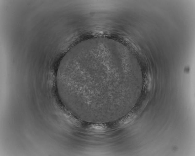 X0000091650659200709061000