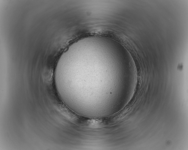 X0000091650660200709061000