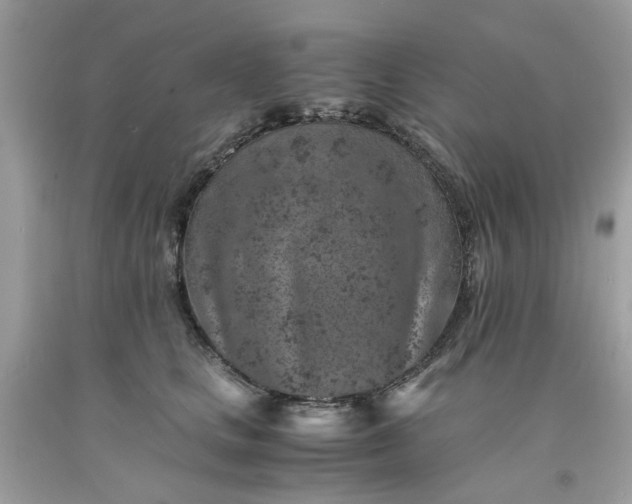 X0000091650661200709061000