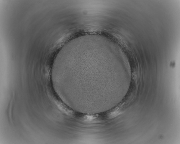 X0000091650662200709061000