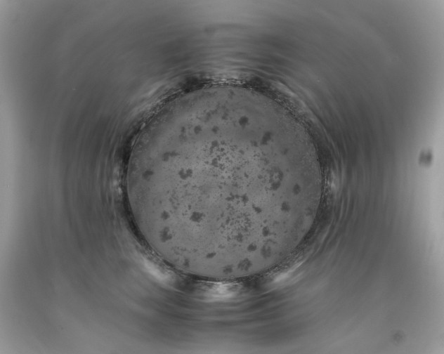 X0000091650663200709061000