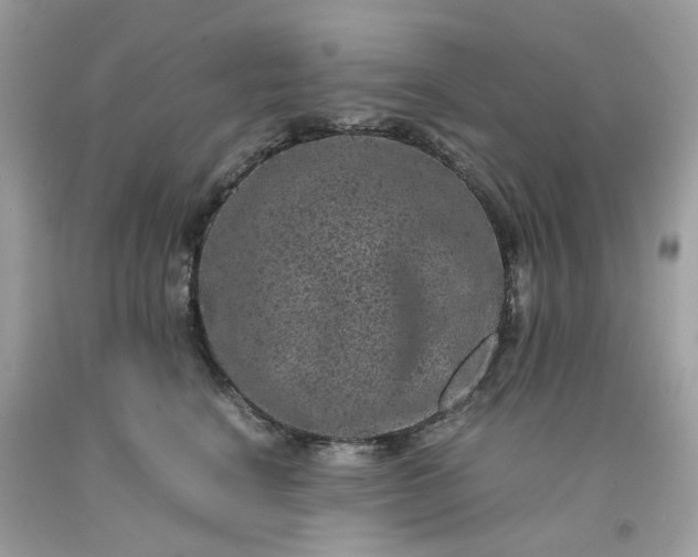 X0000091650664200709061000