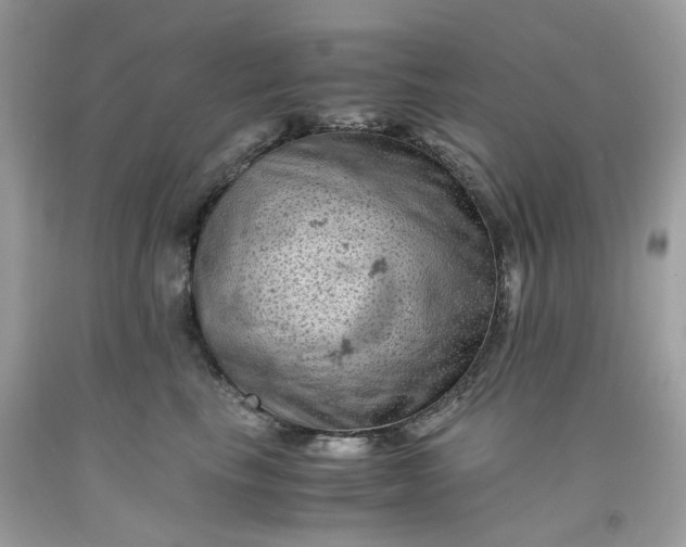 X0000091650665200709061000