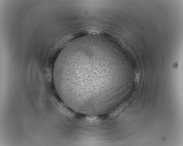 X0000091650666200709061000