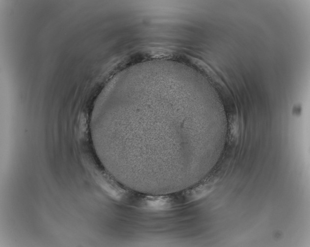 X0000091650667200709061000