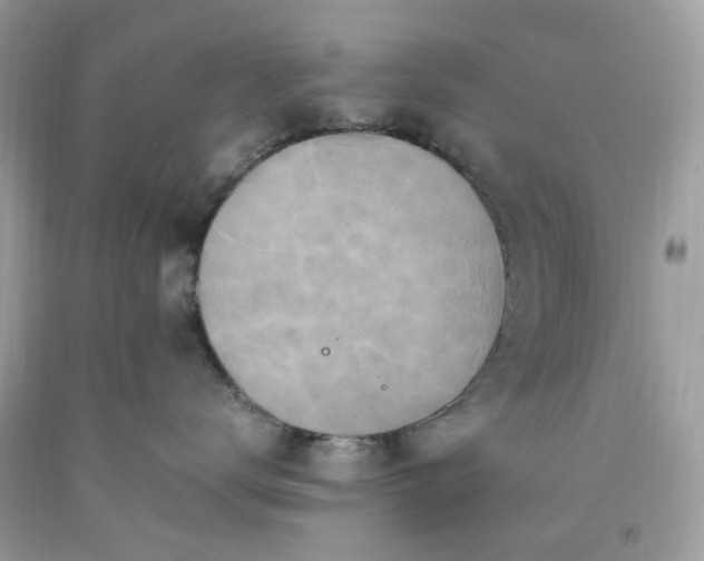 X0000091650672200709061000