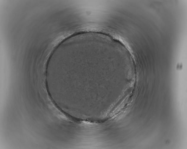 X0000091650673200709060959