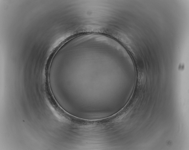 X0000091650674200709060959