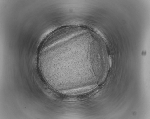 X0000091650675200709060959