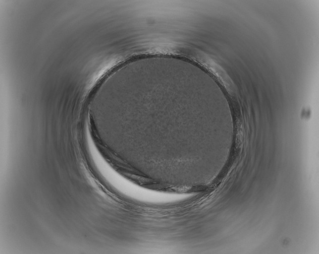 X0000091650677200709060959