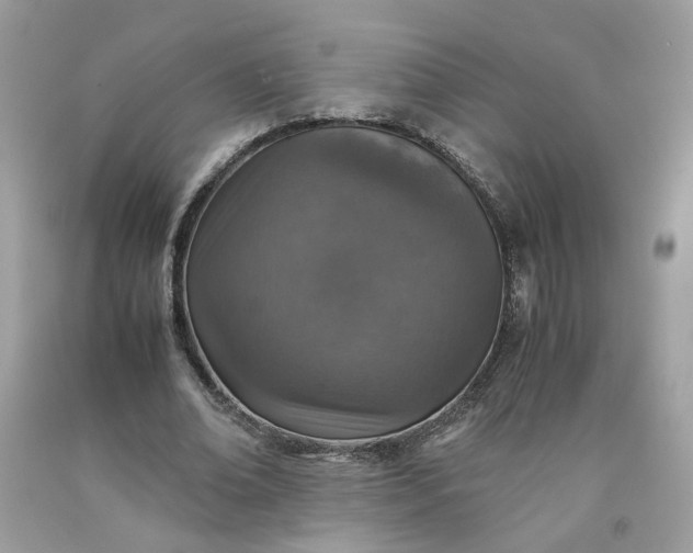 X0000091650678200709060959