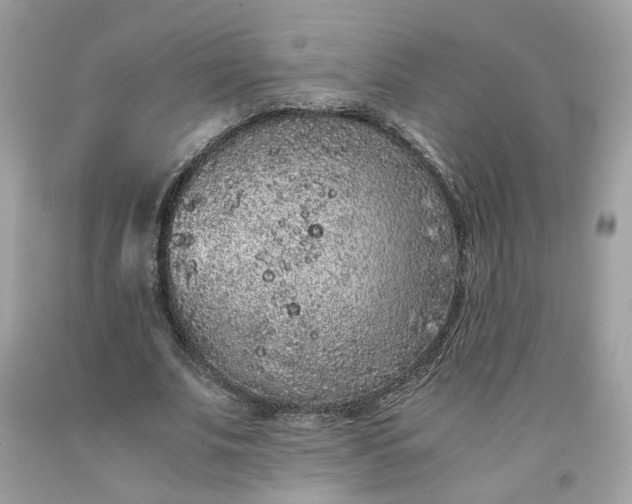 X0000091650679200709060959