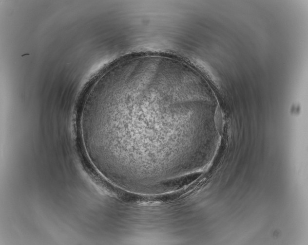 X0000091650680200709060959