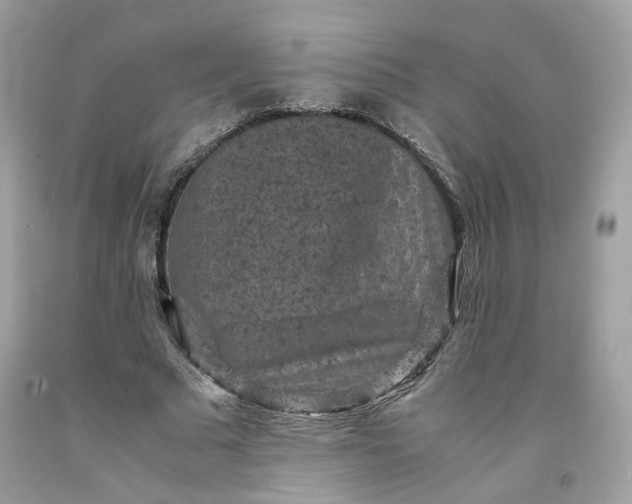 X0000091650681200709060959