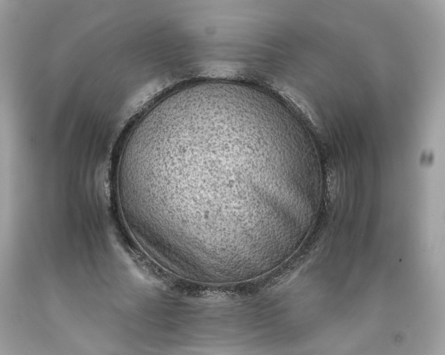 X0000091650682200709060959