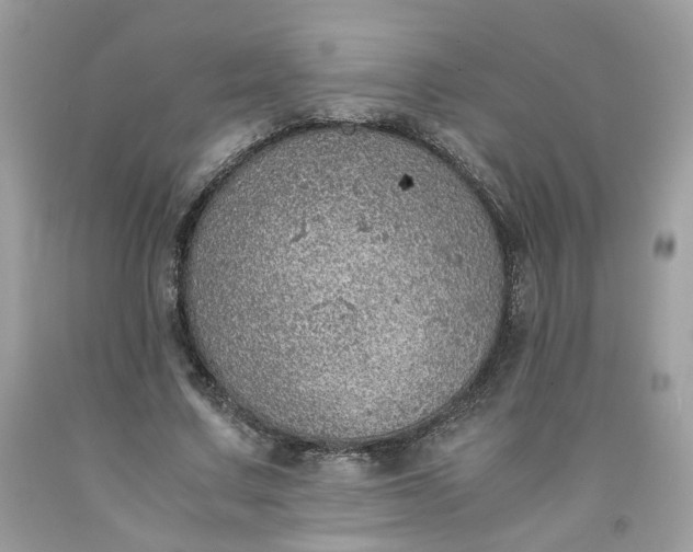 X0000091650683200709060959